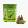 Conuri Parfumate Backflow Masala Eucalipt | Produs Casa cu Parfum